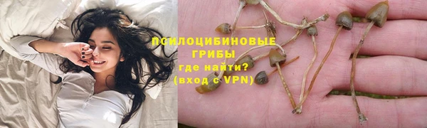 хмурый Вязьма